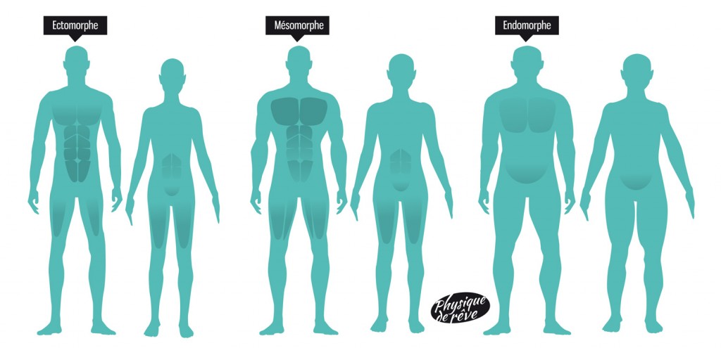 anatomie-morphotype-corps-physique-de-rêve